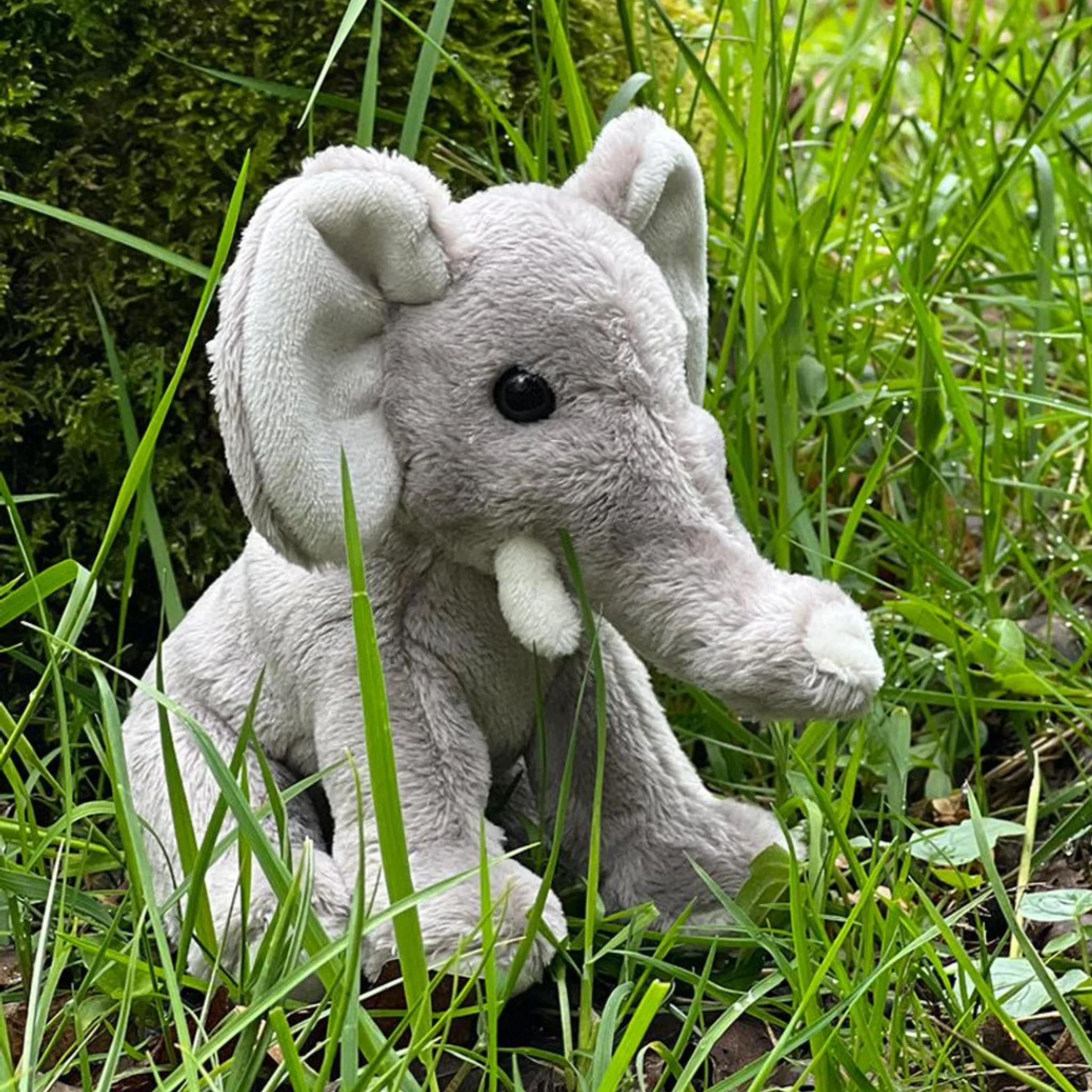 Elephant - Image 2