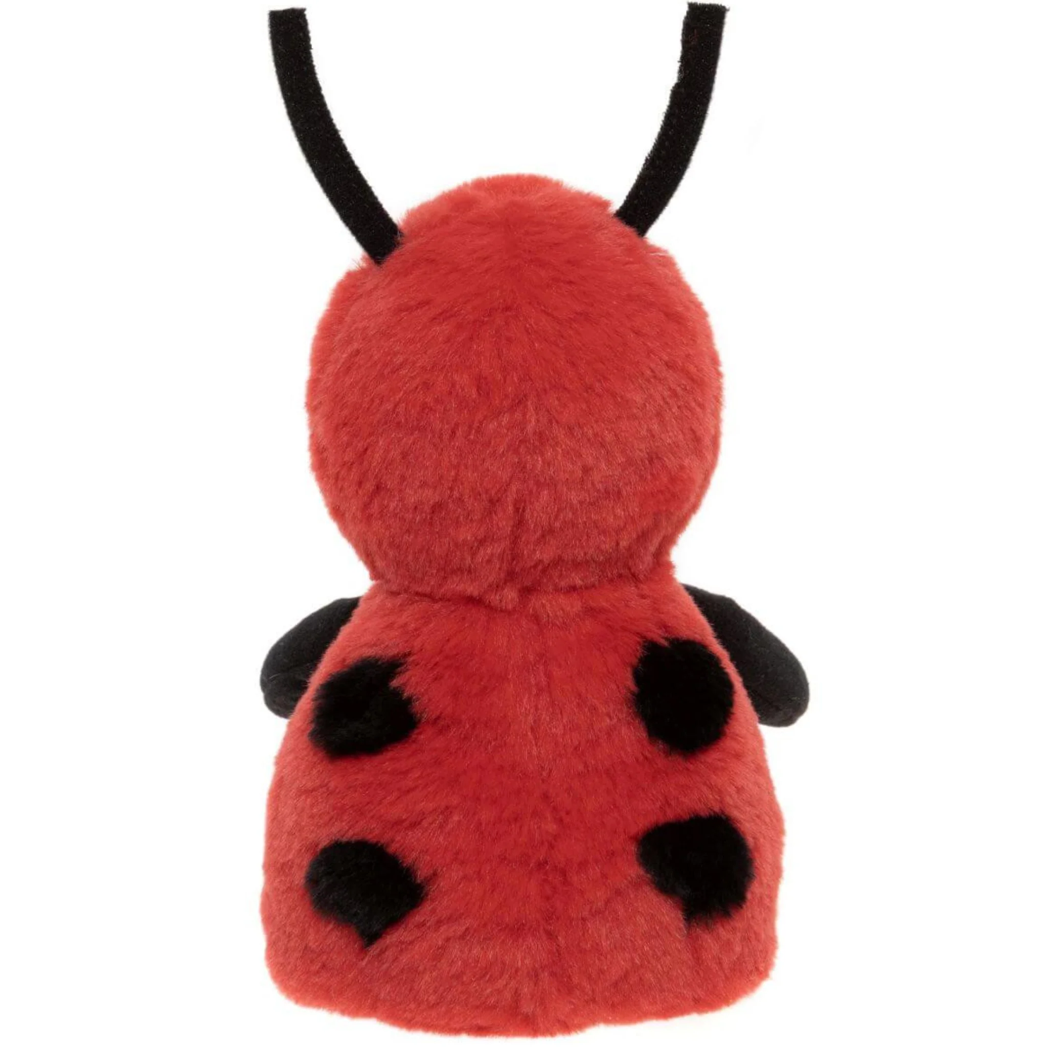 Leaf Ladybird - Image 3